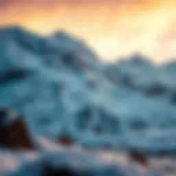 An In-Depth Exploration of Staking Avalanche Introduction