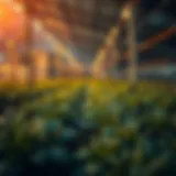Exploring Binance Farms: Mechanisms, Strategies, and Implications Introduction