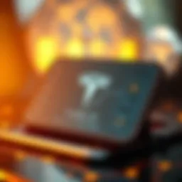 Conceptual illustration of the Tesla Crypto Wallet interface