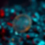 Exploring the Dynamics of VIP Coin in the Cryptocurrency Ecosystem Introduction