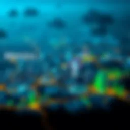 A digital representation of the Brazilian cryptocurrency market landscape