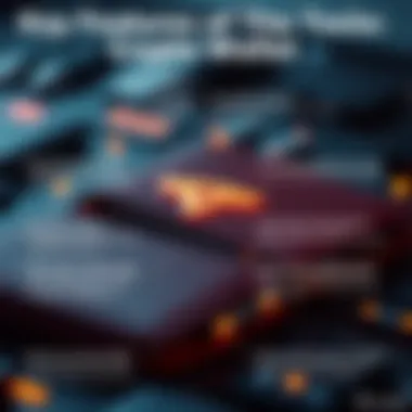 Key Features of the Tesla Crypto Wallet Infographic detailing key features of the Tesla Crypto Wallet