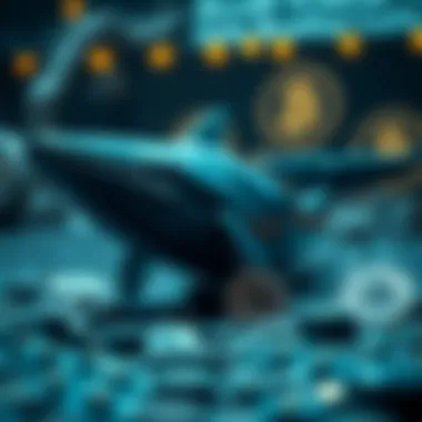 The Investment Strategies of Cryptocurrency Whales Summary