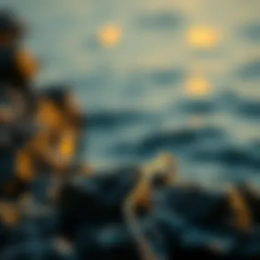 Understanding the Synergy Between OpenSea and MetaMask Summary